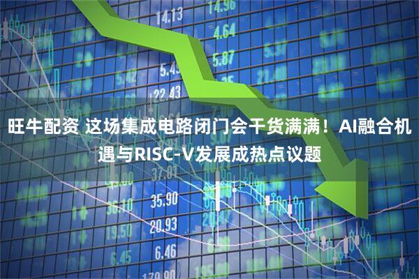 旺牛配资 这场集成电路闭门会干货满满！AI融合机遇与RISC-V发展成热点议题