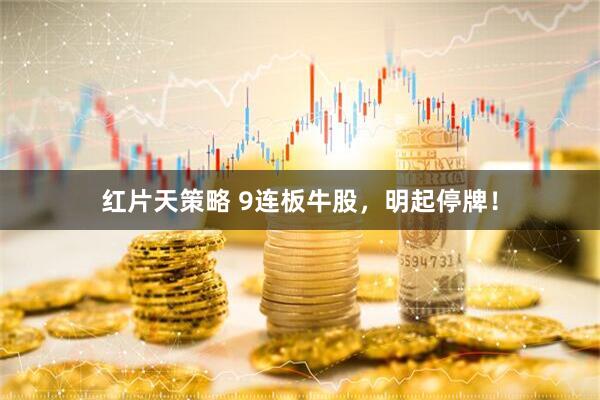 红片天策略 9连板牛股，明起停牌！