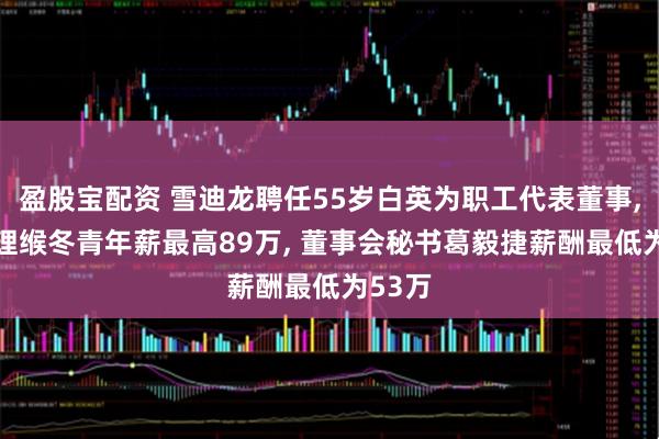 盈股宝配资 雪迪龙聘任55岁白英为职工代表董事, 总经理缑冬青年薪最高89万, 董事会秘书葛毅捷薪酬最低为53万