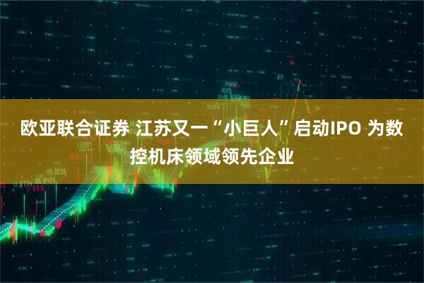 欧亚联合证券 江苏又一“小巨人”启动IPO 为数控机床领域领先企业